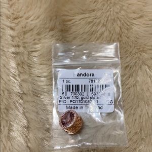 Pandora Rose Blush Pink Charm